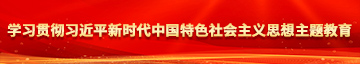 嗯揉学习贯彻习近平新时代中国特色社会主义思想主题教育